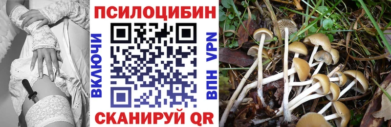 Галлюциногенные грибы Psilocybine cubensis  Комсомольск 